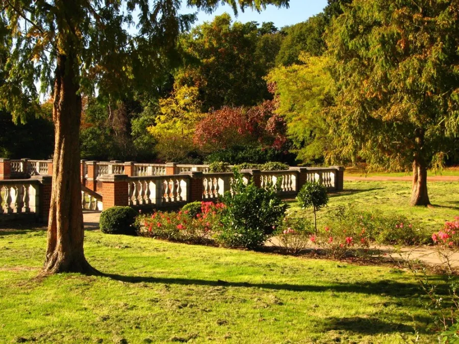 Lawns and mature trees in Cannizaro Park, Wimbledon Village